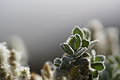 Bernhard Saalfeld - DSC01625.JPG