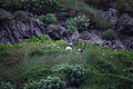 Bernhard Saalfeld - DSC01685.JPG