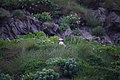 Bernhard Saalfeld - DSC01686.JPG