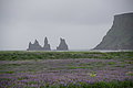 Bernhard Saalfeld - DSC01781.JPG