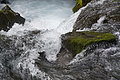 Bernhard Saalfeld - DSC01811.JPG