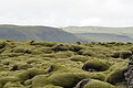 Bernhard Saalfeld - DSC01866.JPG