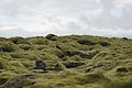 Bernhard Saalfeld - DSC01869.JPG
