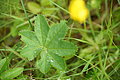 Bernhard Saalfeld - DSC01928.JPG