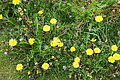 Bernhard Saalfeld - DSC02106.JPG