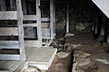 Bernhard Saalfeld - DSC02121.JPG