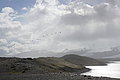 Bernhard Saalfeld - DSC02131.JPG