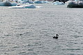 Bernhard Saalfeld - DSC02158.JPG