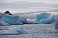 Bernhard Saalfeld - DSC02185.JPG