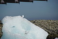 Bernhard Saalfeld - DSC02237.JPG