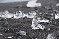 Bernhard Saalfeld - DSC02245.JPG