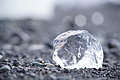 Bernhard Saalfeld - DSC02249.JPG
