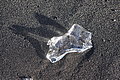 Bernhard Saalfeld - DSC02276.JPG