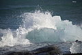 Bernhard Saalfeld - DSC02293.JPG