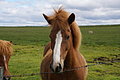 Bernhard Saalfeld - DSC02371.JPG