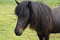 Bernhard Saalfeld - DSC02381.JPG