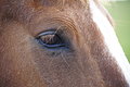 Bernhard Saalfeld - DSC02389.JPG