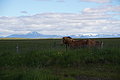 Bernhard Saalfeld - DSC02398.JPG