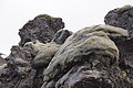 Bernhard Saalfeld - DSC02416.JPG