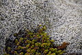 Bernhard Saalfeld - DSC02422.JPG