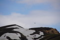 Bernhard Saalfeld - DSC02448.JPG