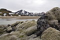 Bernhard Saalfeld - DSC02450.JPG