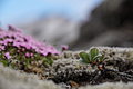 Bernhard Saalfeld - DSC02453.JPG