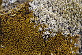 Bernhard Saalfeld - DSC02455.JPG
