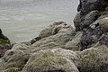 Bernhard Saalfeld - DSC02461.JPG