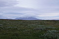 Bernhard Saalfeld - DSC02714.JPG