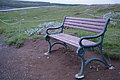 Bernhard Saalfeld - DSC02763.JPG