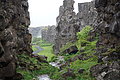 Bernhard Saalfeld - DSC02768.JPG