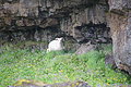 Bernhard Saalfeld - DSC02779.JPG