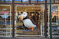 Bernhard Saalfeld - DSC02863.JPG