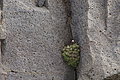 Bernhard Saalfeld - DSC02924.JPG