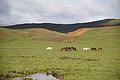 Bernhard Saalfeld - DSC02944.JPG