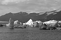 Bernhard Saalfeld - DSCF7409.JPG