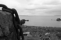 Bernhard Saalfeld - DSCF7512.JPG