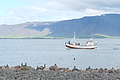 Bernhard Saalfeld - DSCF7600.JPG
