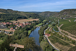 Bernhard Saalfeld - August