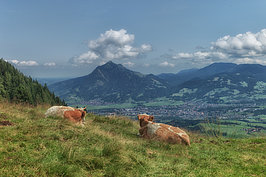 Bernhard Saalfeld - Juli
