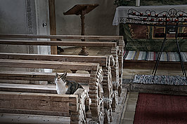 CatAtChurch - Bernhard Saalfeld - Lichtbildkunst