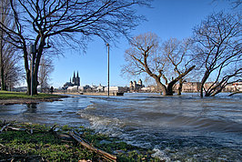 Bernhard Saalfeld - Rheinpark