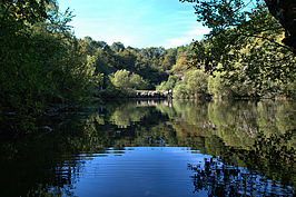 Bernhard Saalfeld - Silbersee
