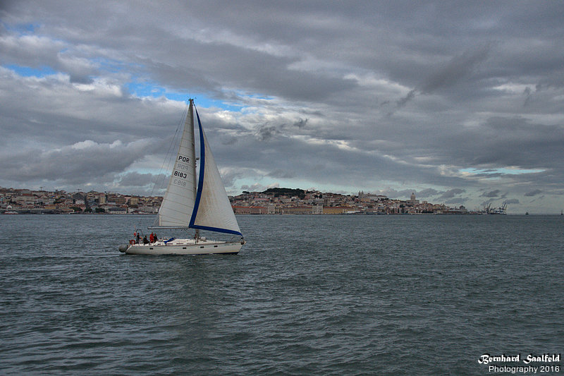 Bernhard Saalfeld - Tejo