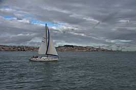 Bernhard Saalfeld - Tejo