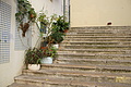 Bernhard Saalfeld - DSC08438.JPG