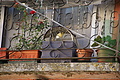 Bernhard Saalfeld - DSC08474.JPG