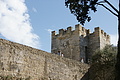 Bernhard Saalfeld - DSC08511.JPG