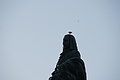 Bernhard Saalfeld - DSC08602.JPG